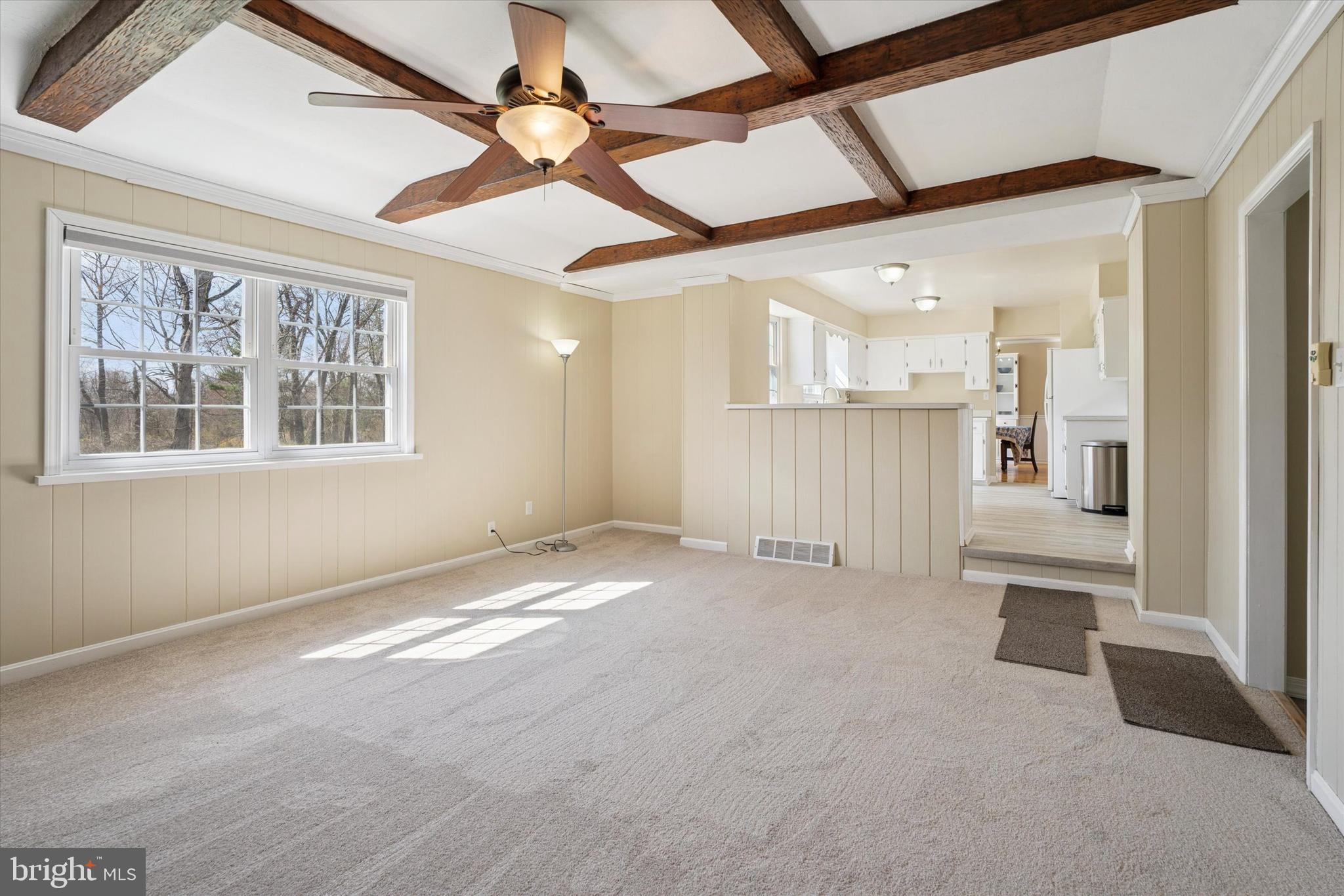 PALOMINO FARMS - Residential