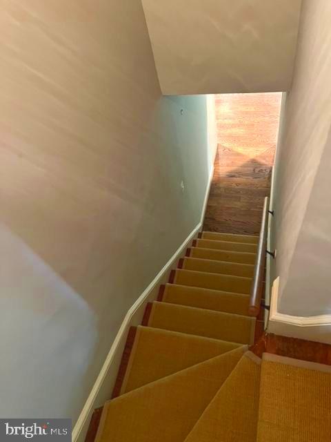 BURNING TREE - Residential Lease