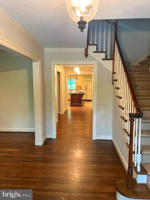 BURNING TREE - Residential Lease