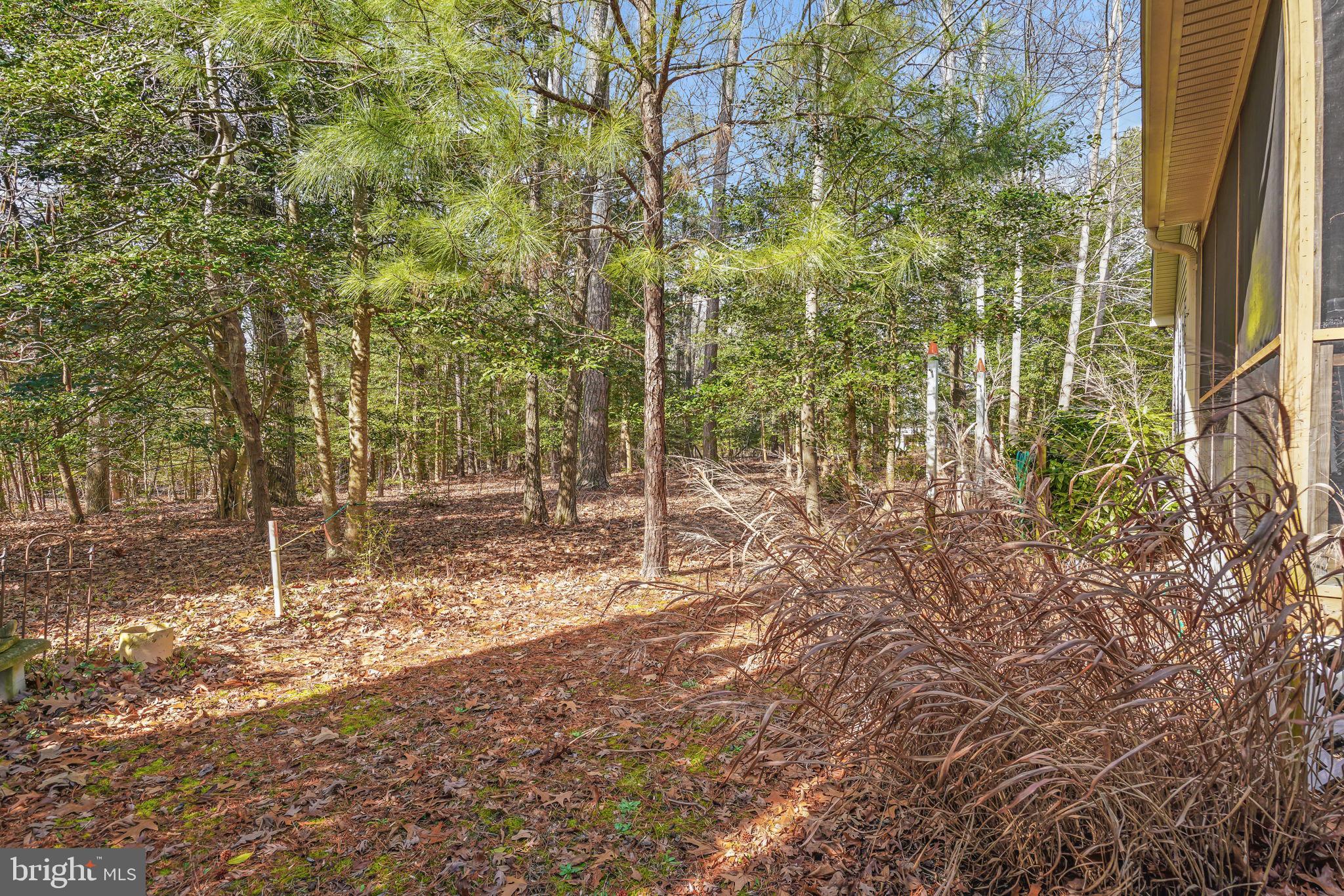 CAPTAIN'S COVE - Residential