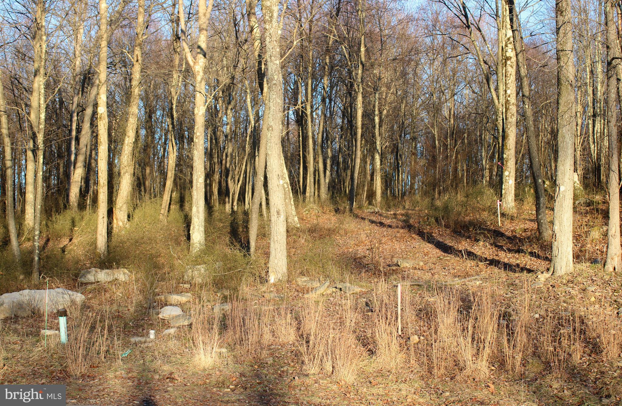 NORTH CAMP SUBDIVISION - Land