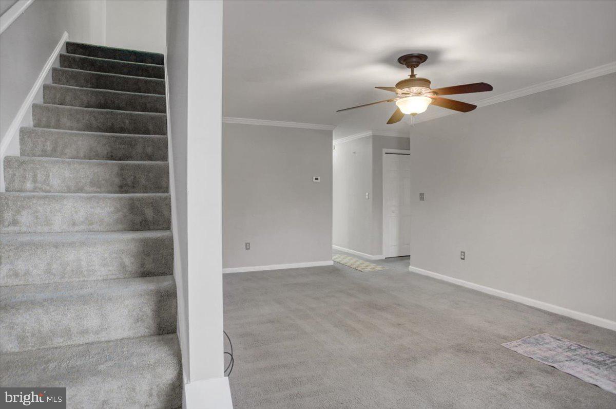 MOUNTAIN VIEW - Residential