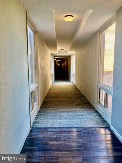 THE OGLETHORPE - Residential