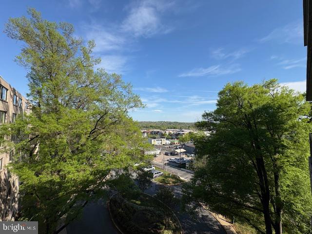 THE OGLETHORPE - Residential