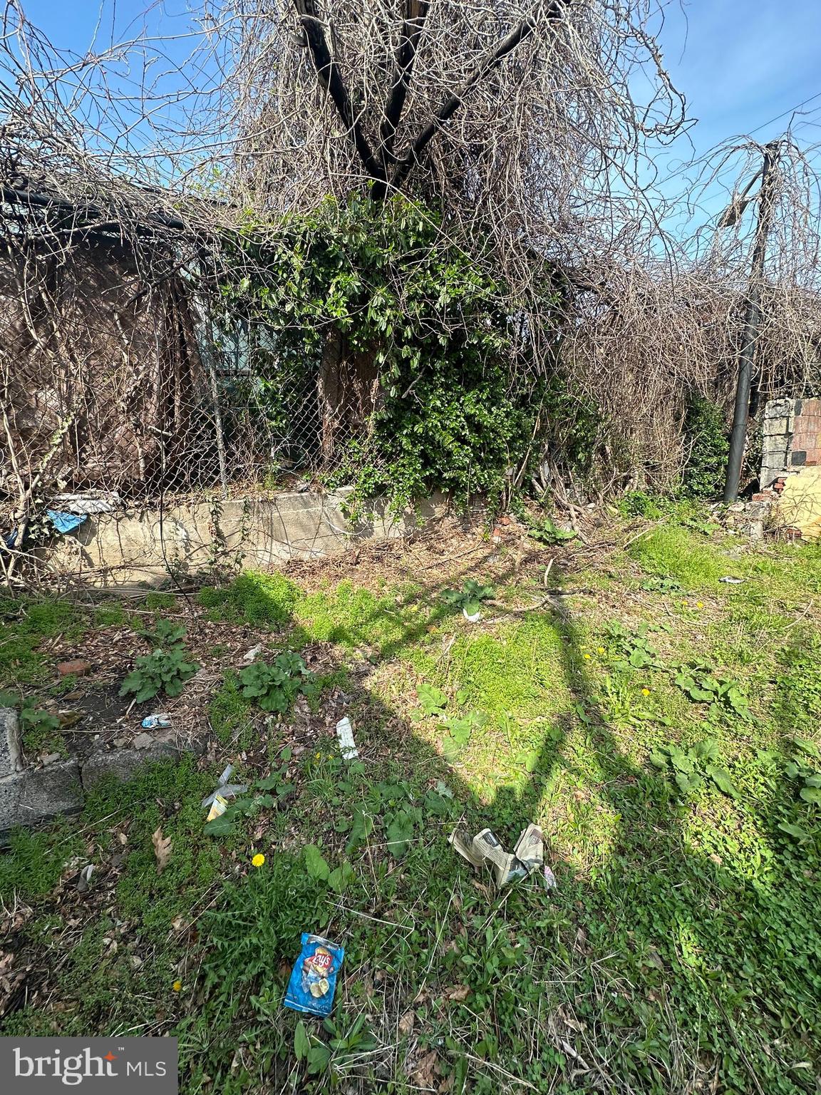 STRAWBERRY MANSION - Land