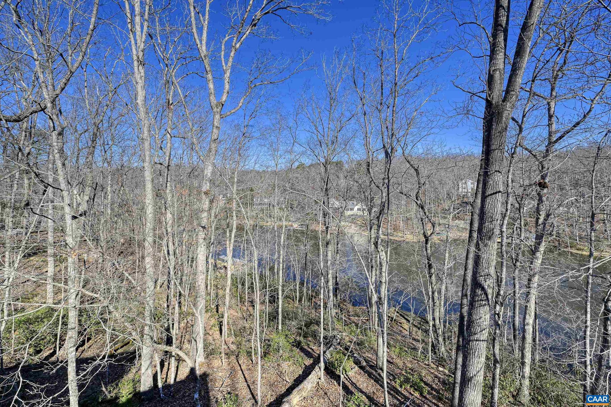 LAKE MONTICELLO - Residential