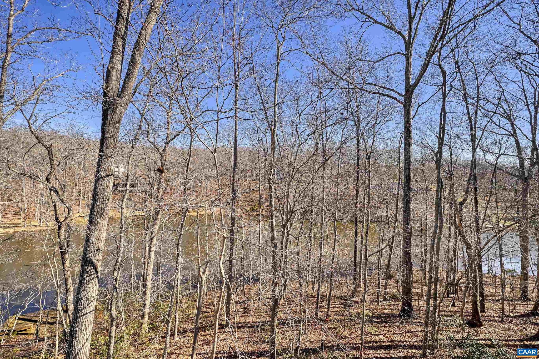 LAKE MONTICELLO - Residential