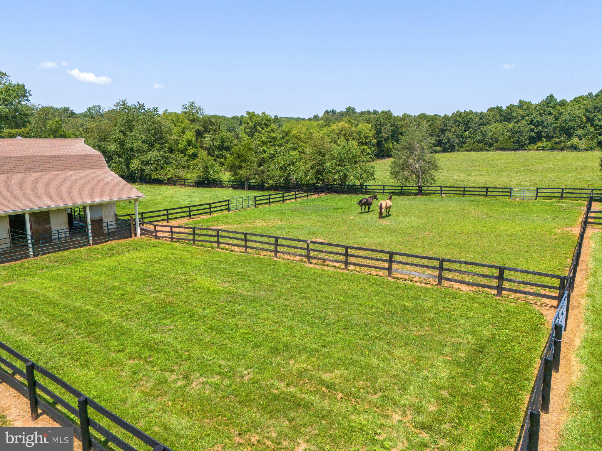 SADDLE RIDGE FARMS - Residential