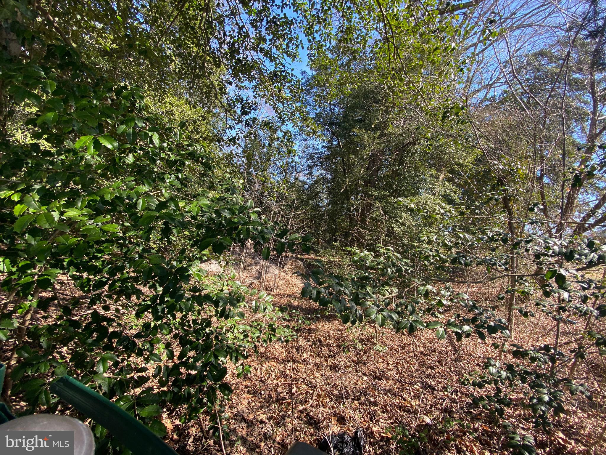 Minutes away for 95, shopping center, Aldi and banks. This vacant land sits in the end of street surrounded by brick residential homes. Dont miss out on this great opportunity to build your Dream Home!