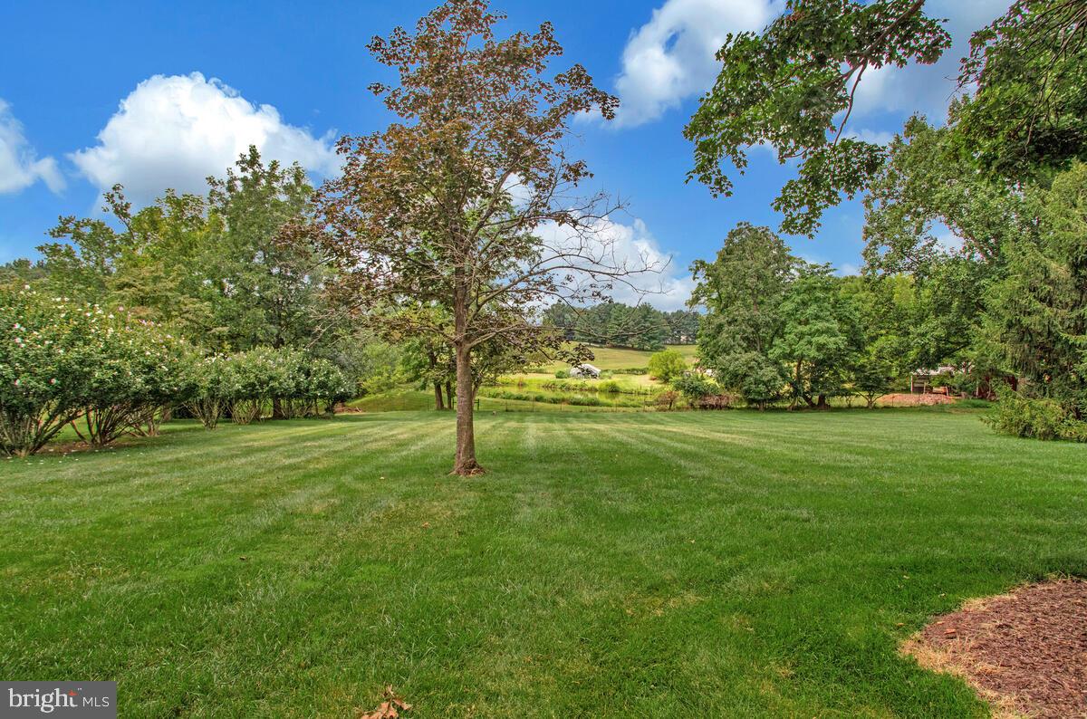 BENSON BRANCH ESTATES - Residential