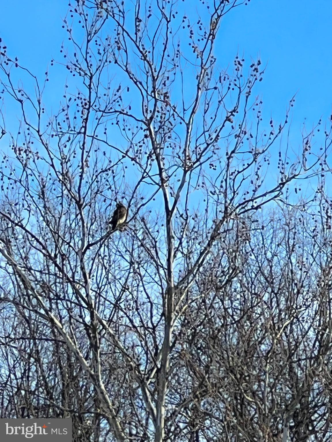 MAYERS SUMMIT - Residential