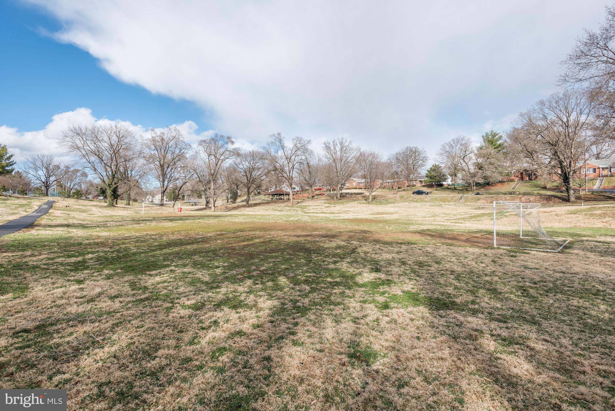 VILLAGE AT SAMUEL STATION - Residential