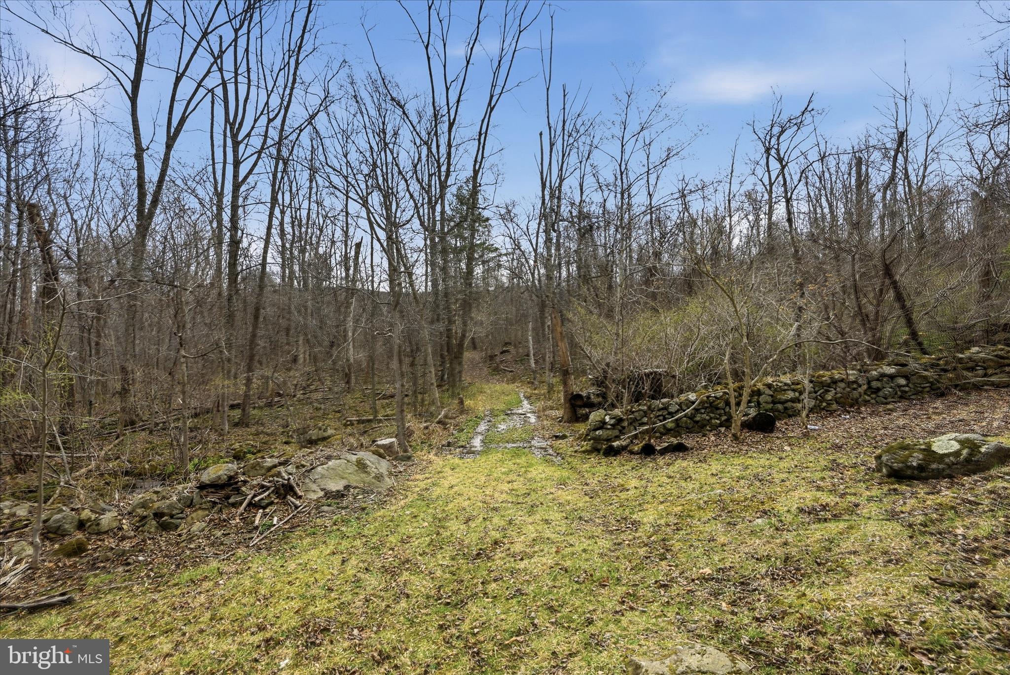 107 TOP OF LOOP LANE