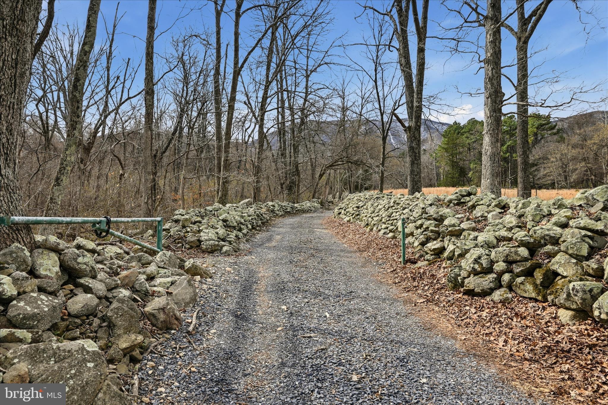 107 TOP OF LOOP LANE