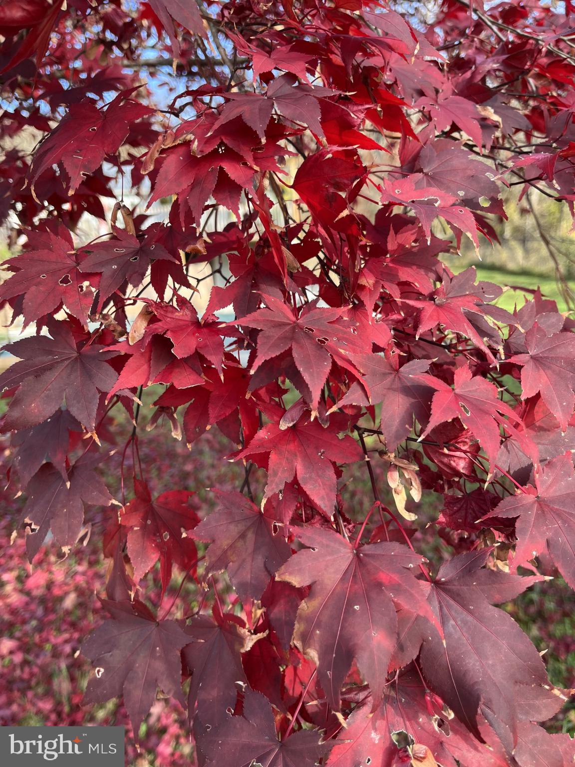 CORRIGANVILLE - Residential