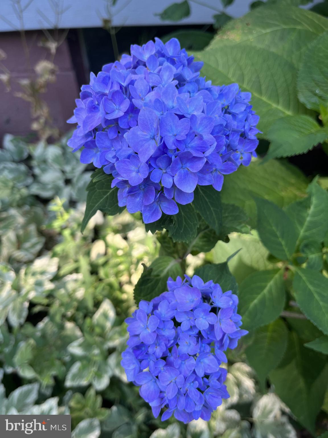 CORRIGANVILLE - Residential