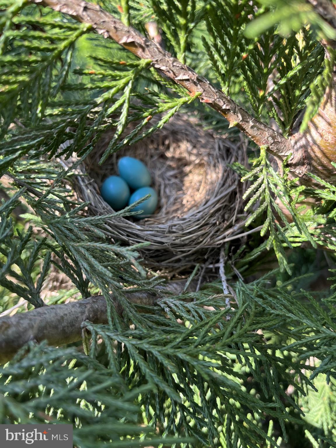 CORRIGANVILLE - Residential