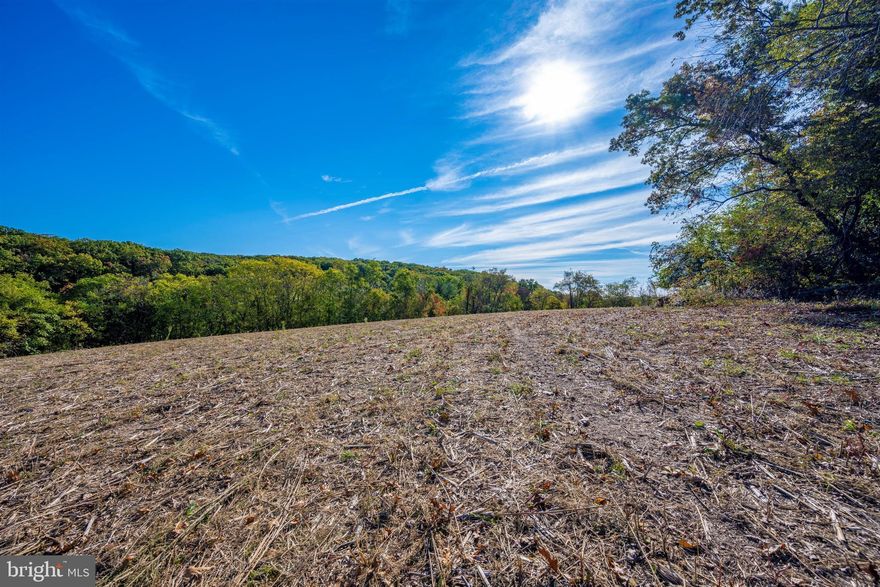 Welcome to parcel 636 Nicodemus Rd   This unique parcel contains 29.43 acres of land. 13 acres to the rear of the property is permanently preserved Beaver tree bank. The remaining acres contains wonderful majestic hardwood trees, and a peaceful stream. The front of the property does contains a 6 acre clearing perfectly suited for your dream home. The clearing has a conventional perc site approved and surrounded by mature trees giving a real sense of privacy. The parcel does have access to Katherine Beaver Drive or build your own private drive on the 50’ wide strip of land leading to Nicodemus Rd. This parcel is a wonderful blank canvass waiting for your vision and dreams.  This unique parcel has it all…Mature trees, stream, private setting with plenty of cleared area for pasture or crops. This is your opportunity to build your estate on one of Carroll Counties beautiful parcels of land. Buyer to drill well. Buyer to pay AG TAX.  Plat is attached in document.  PROPERTY IS BEING  SOLD AS IS