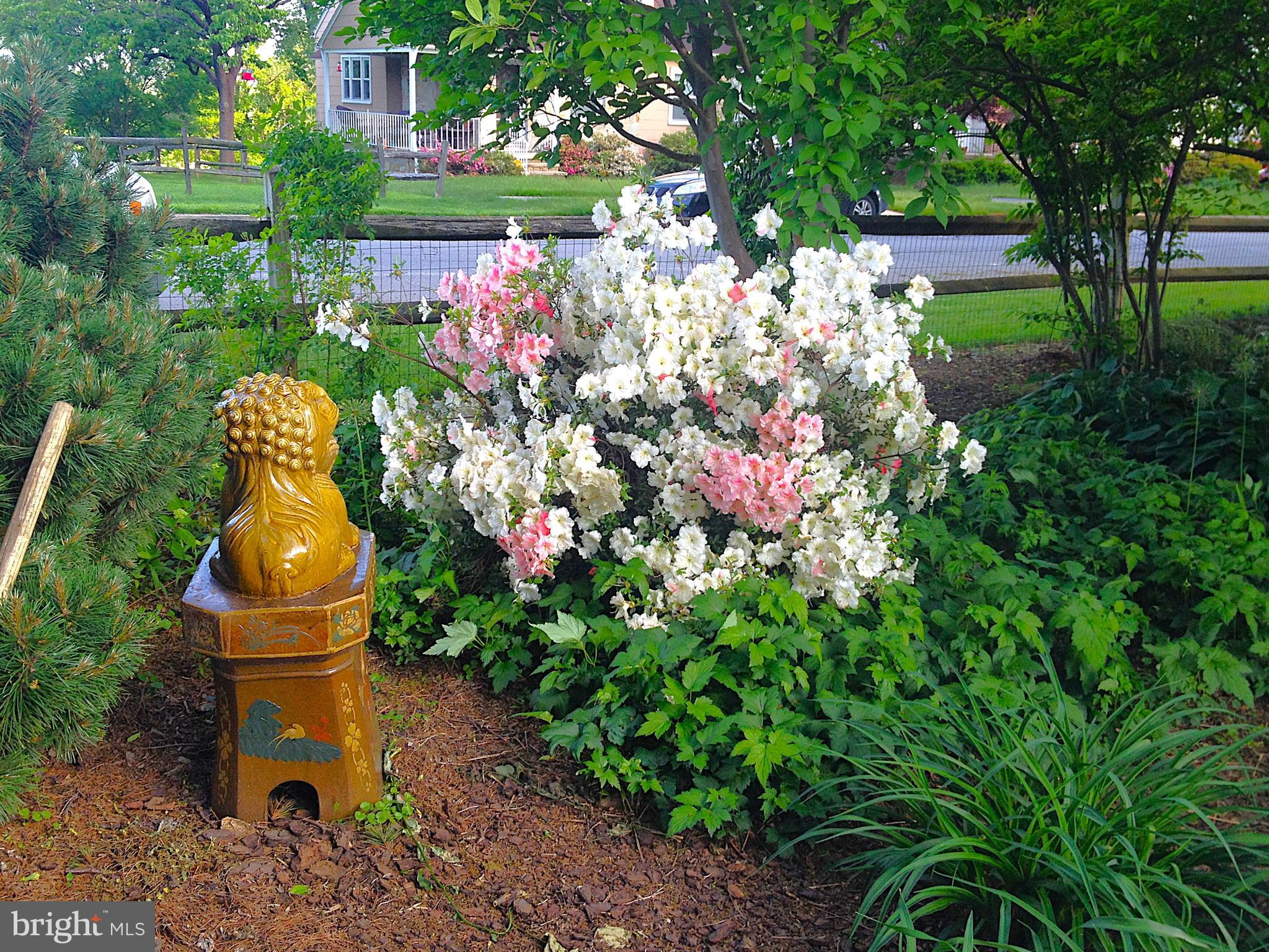WOODLAWN PARK - Residential