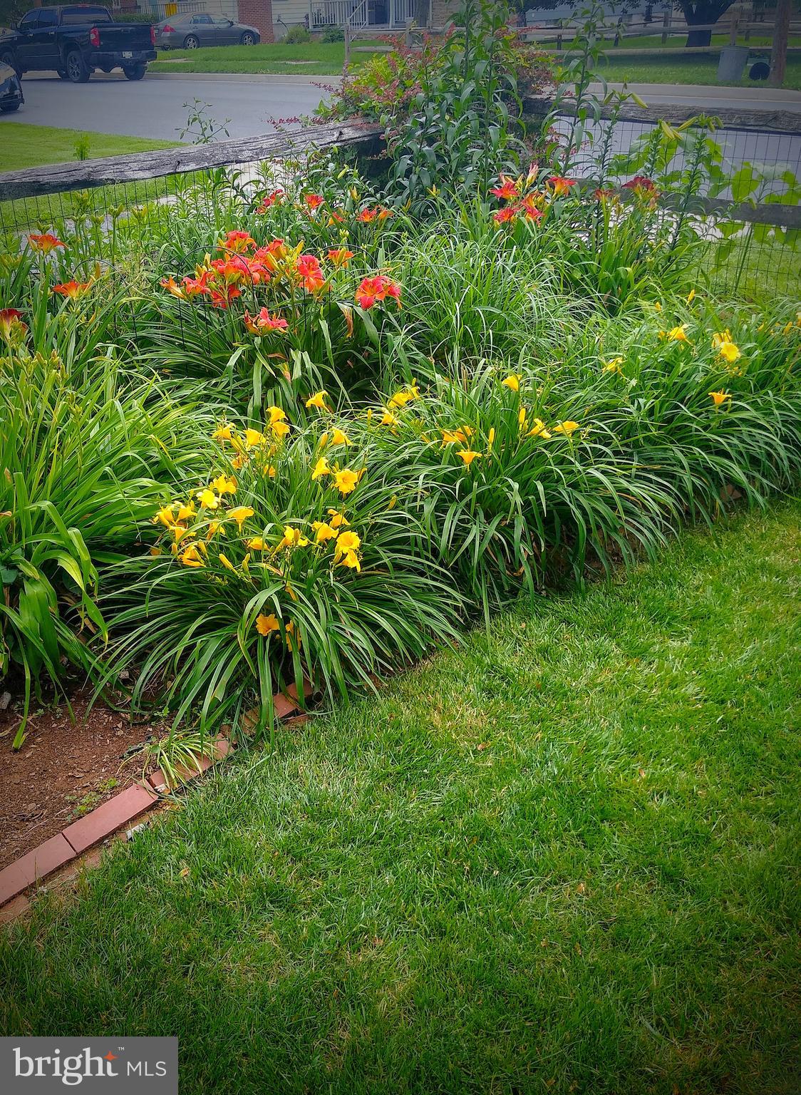 WOODLAWN PARK - Residential