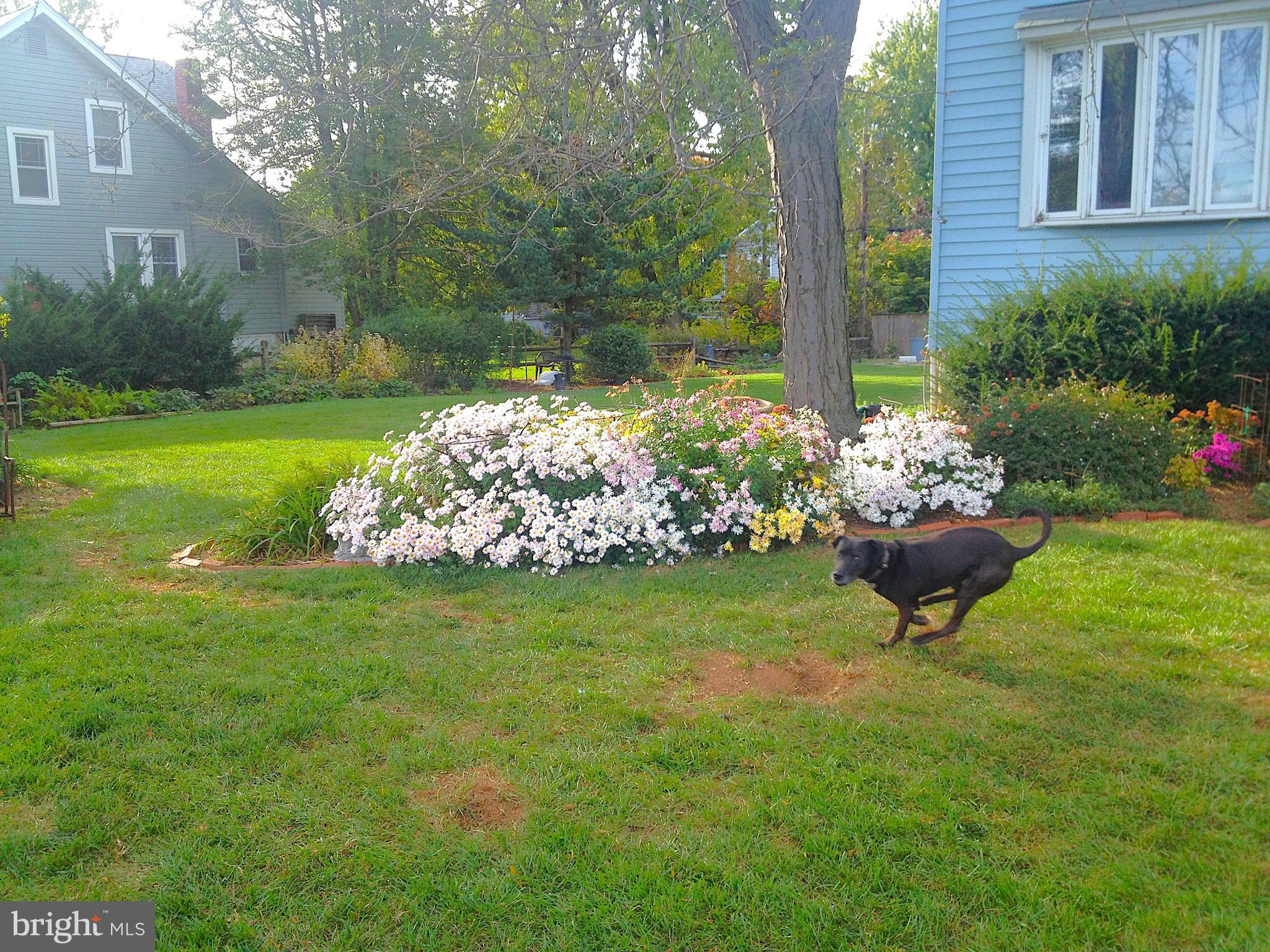WOODLAWN PARK - Residential