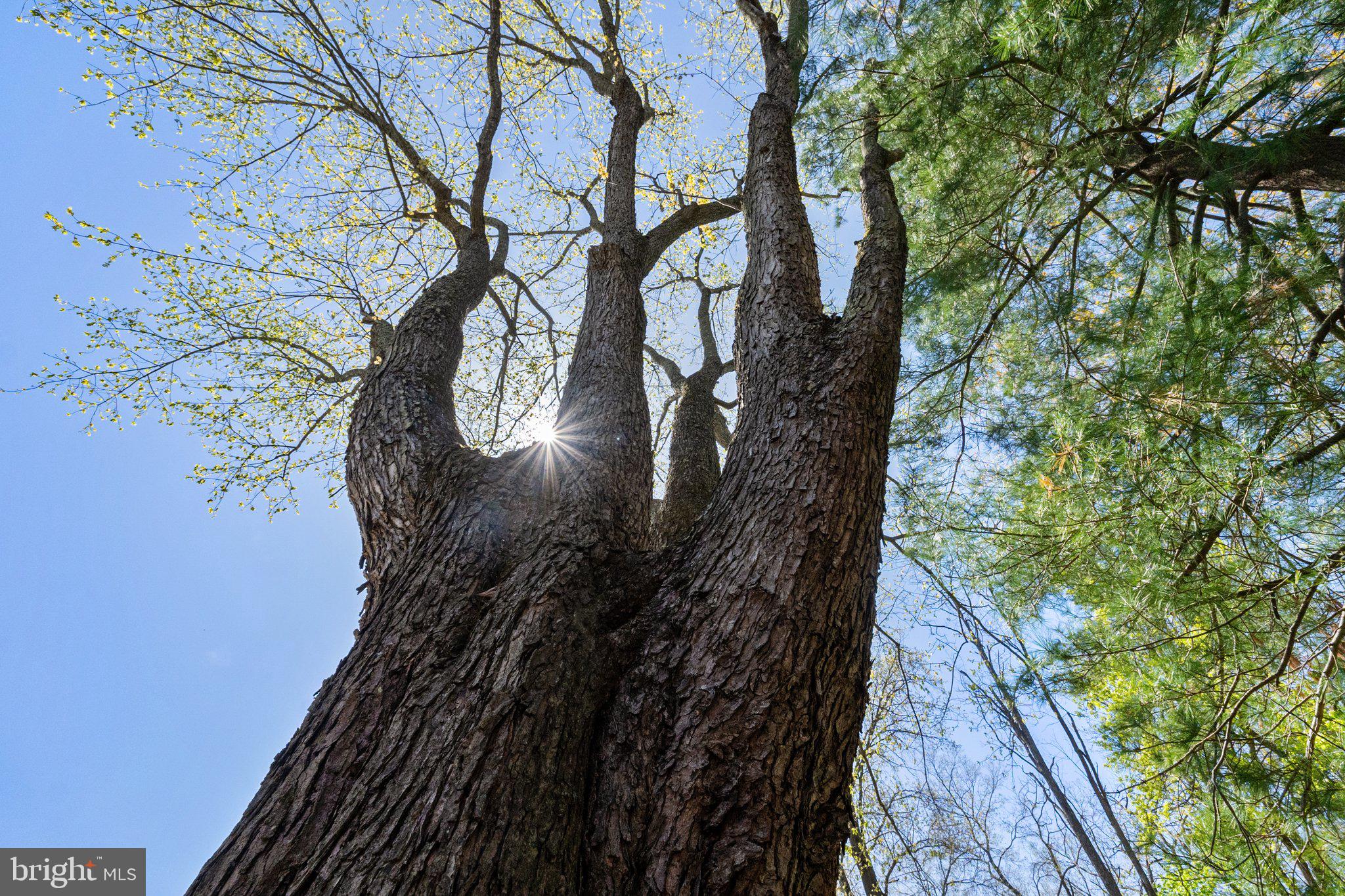 COUNTRY CLUB HILLS - Residential