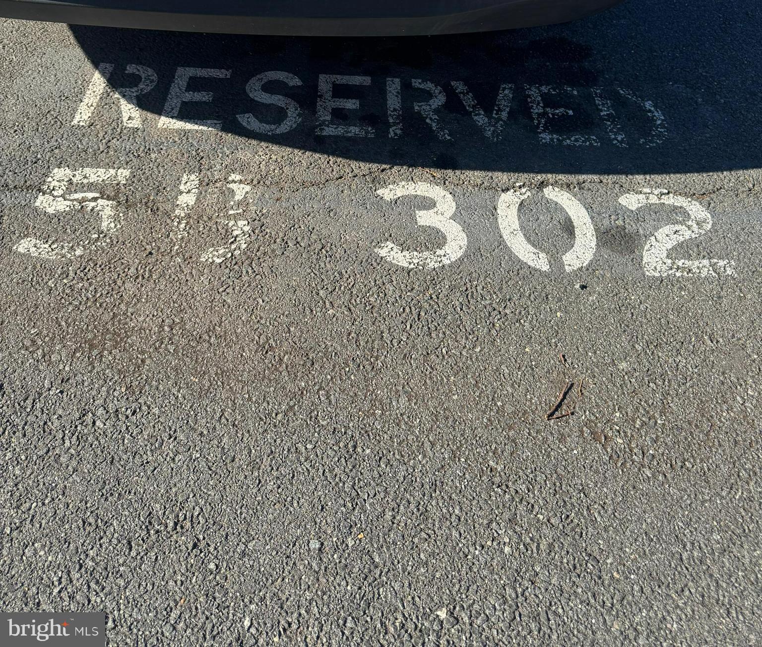 20603 CORNSTALK TERRACE 302