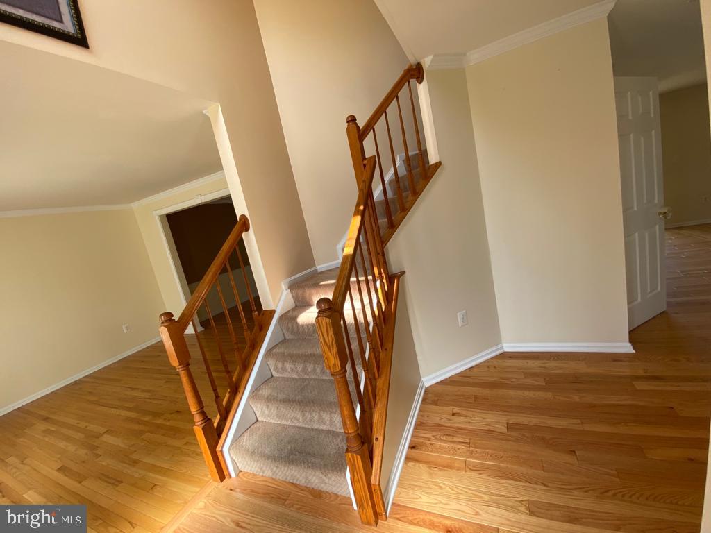 DALE CITY - Residential