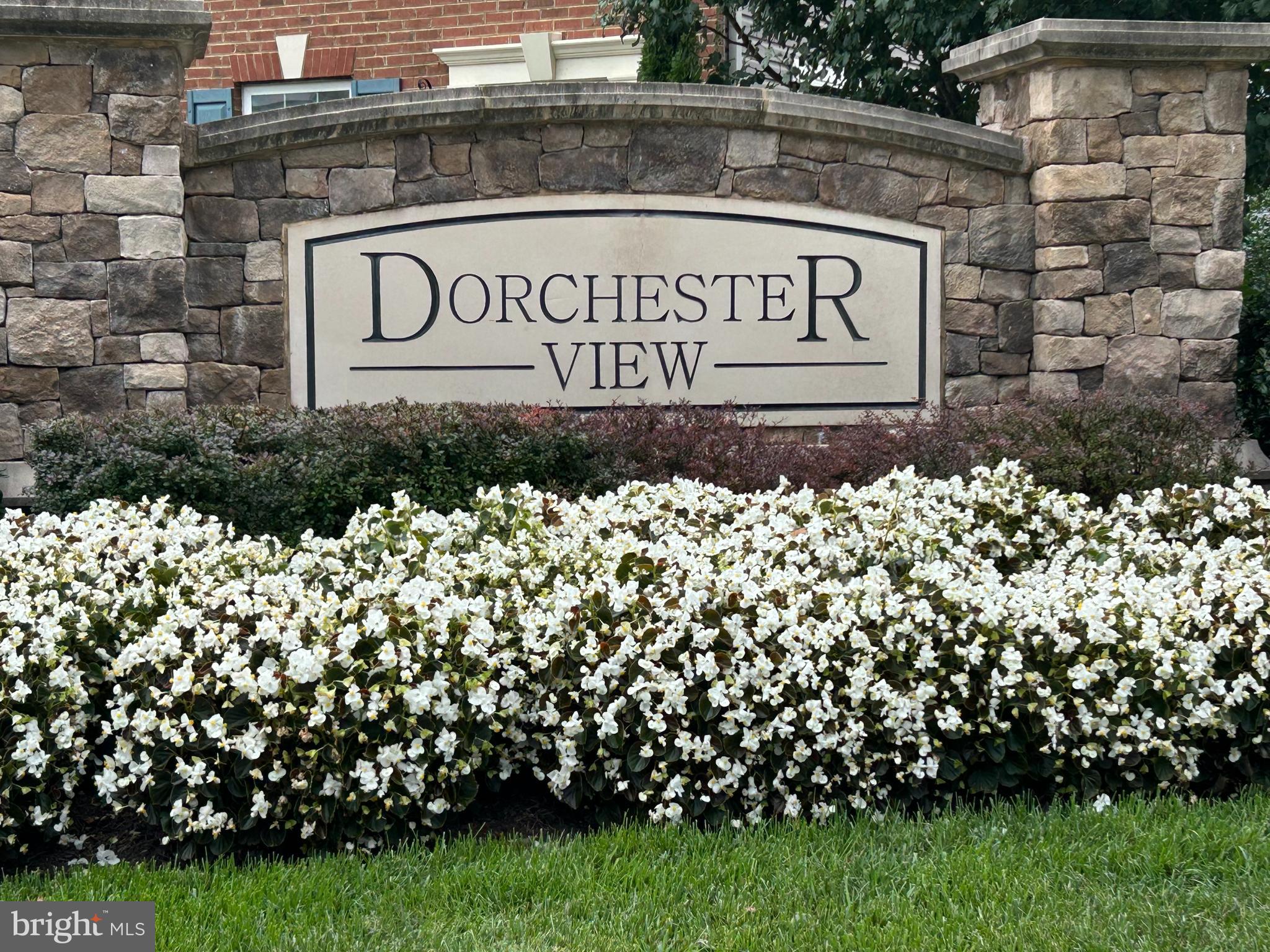 DORCHESTER VIEW - Residential