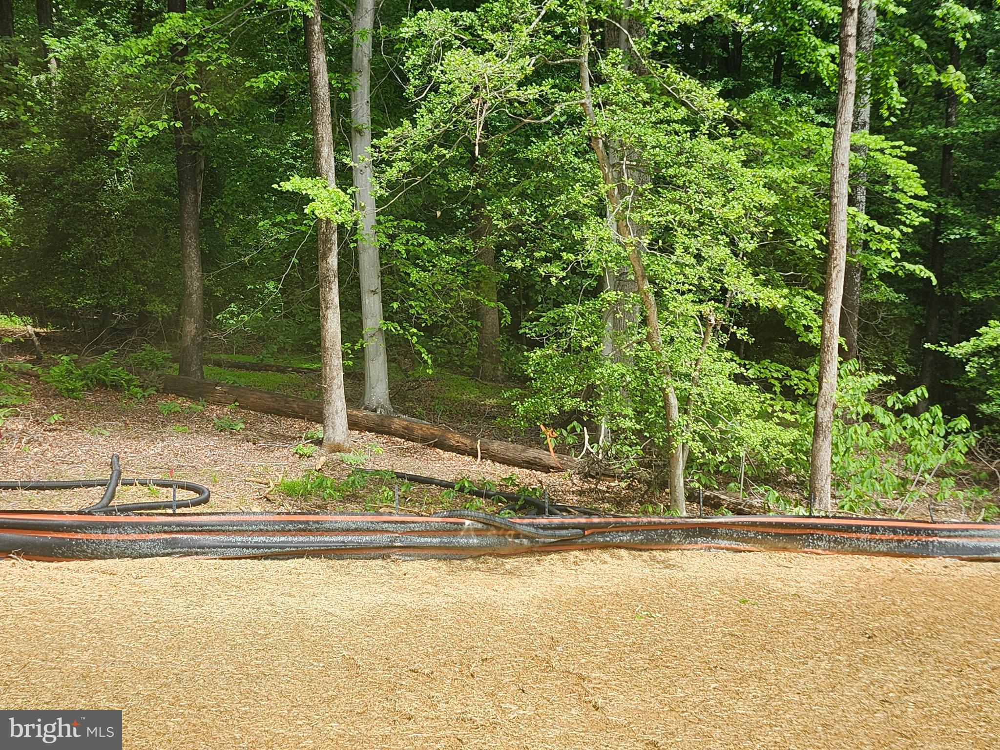 SETTLE WOODS - Residential