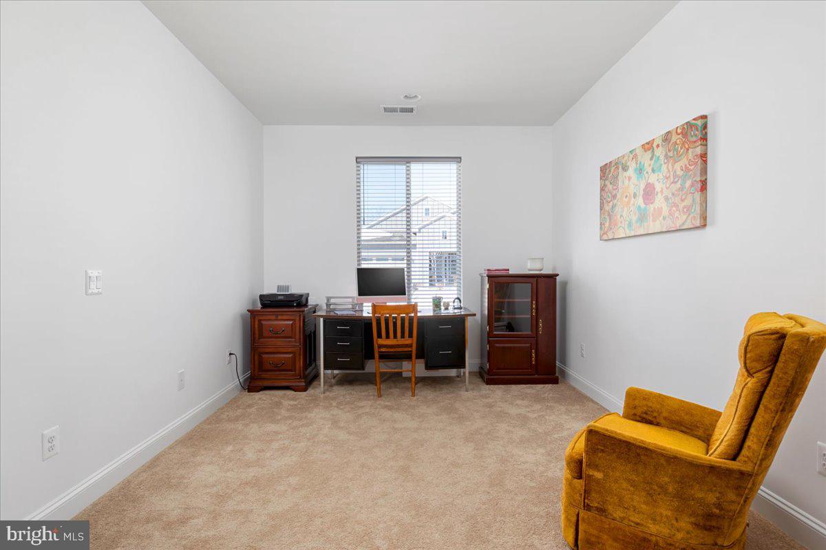 SHENANDOAH, LAKE FREDERICK - Residential