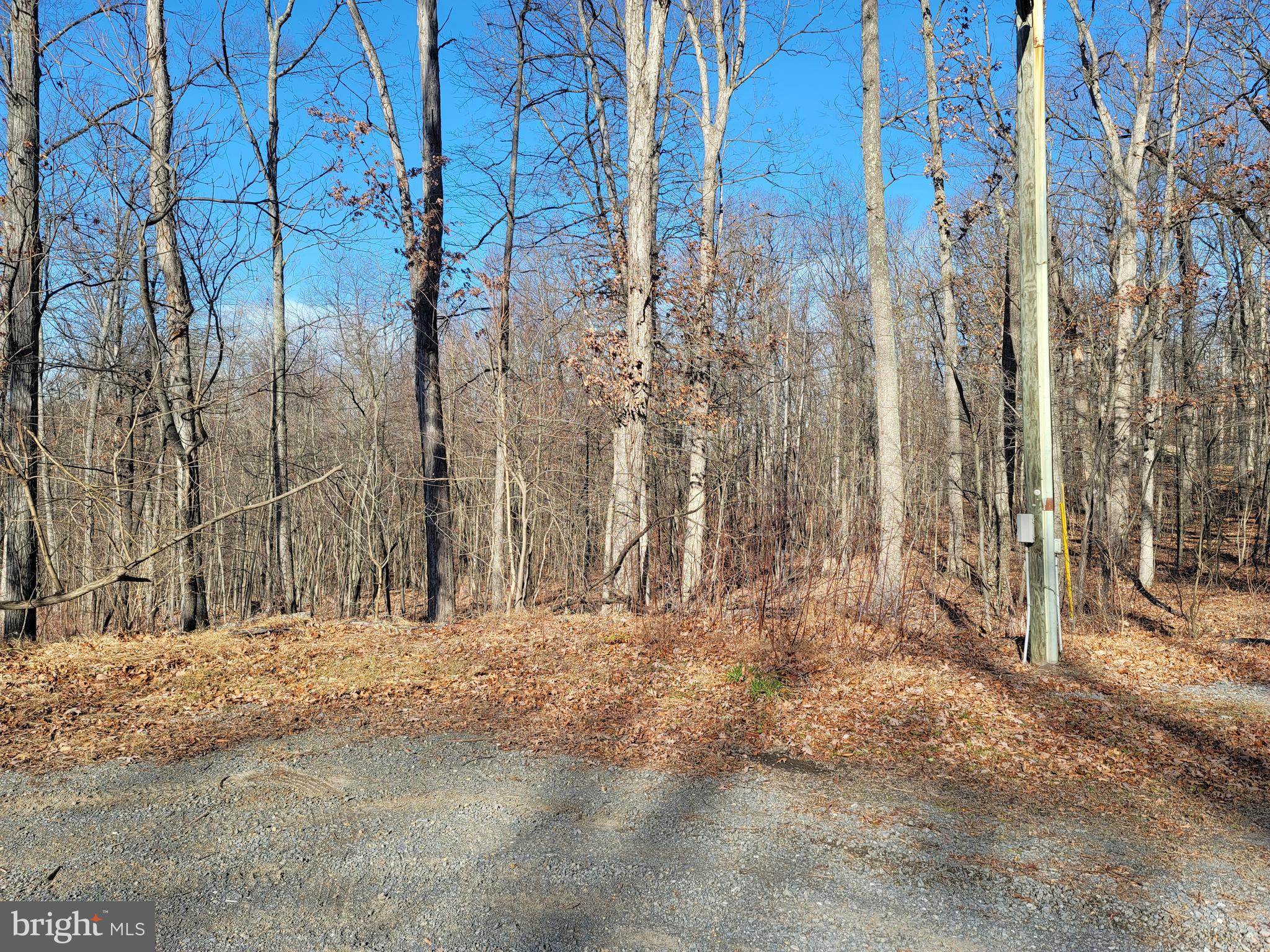 NONE AVAILABLE - Land