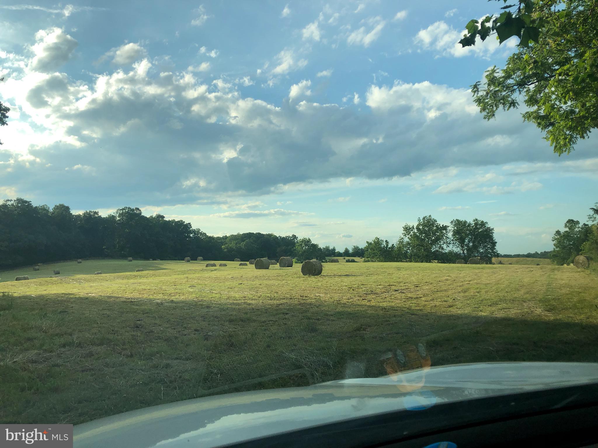 NONE AVAILABLE - Farm