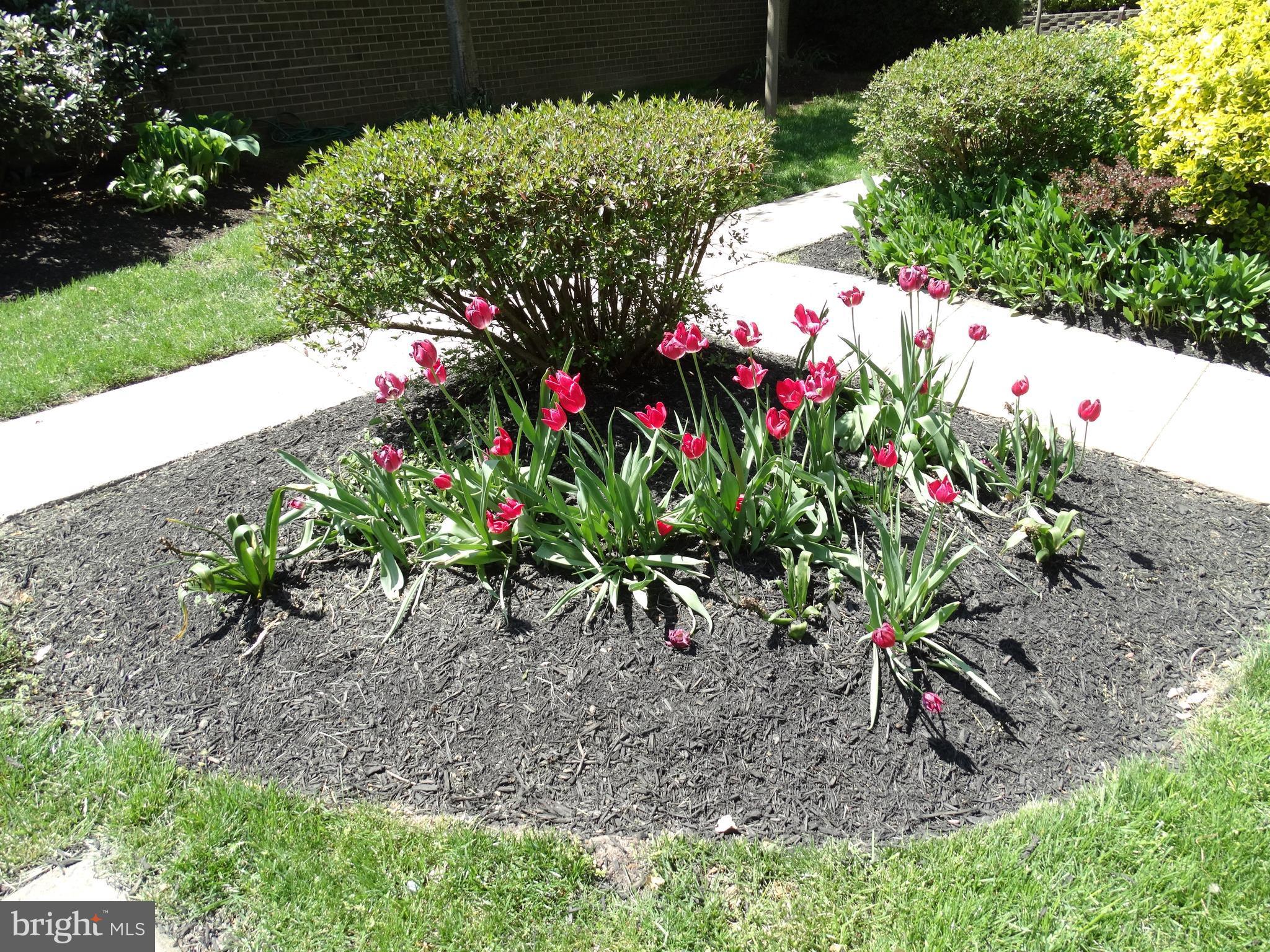 JEFFERSON MEWS - Residential