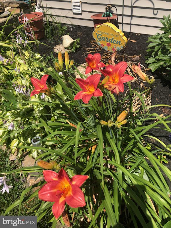 WOODLAWN VILLAGE - Residential