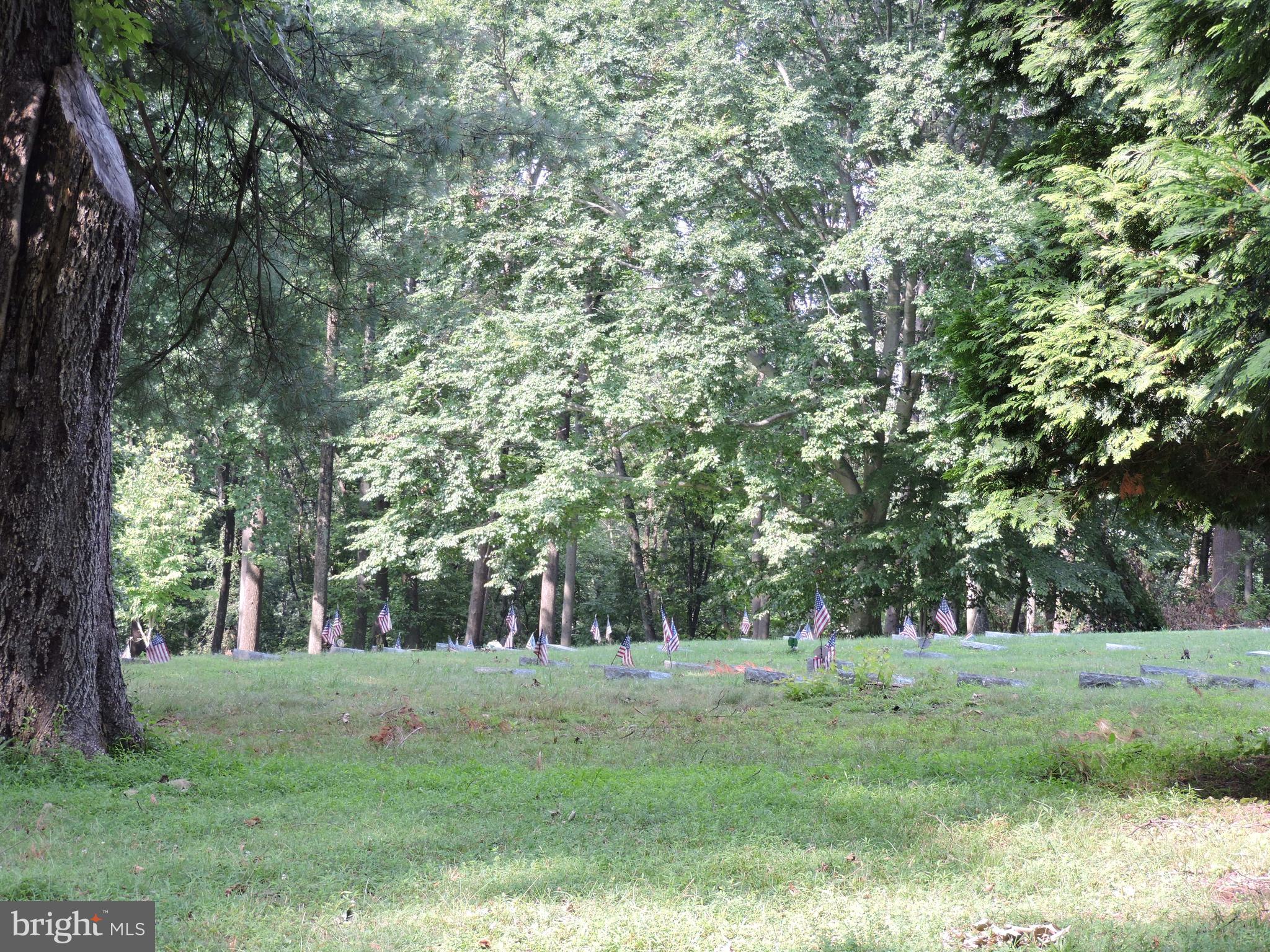 WOODLAWN VILLAGE - Residential