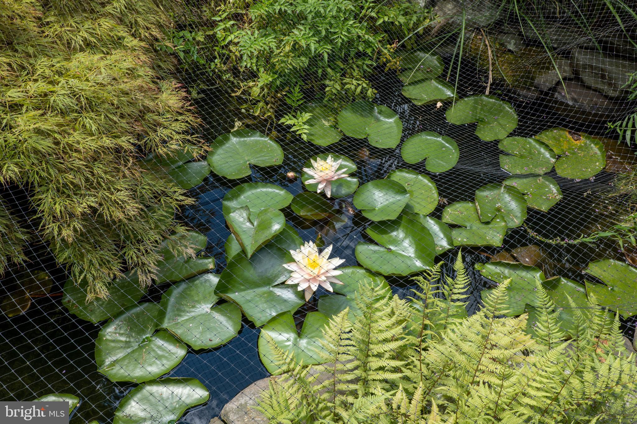 STEVENSON - Residential