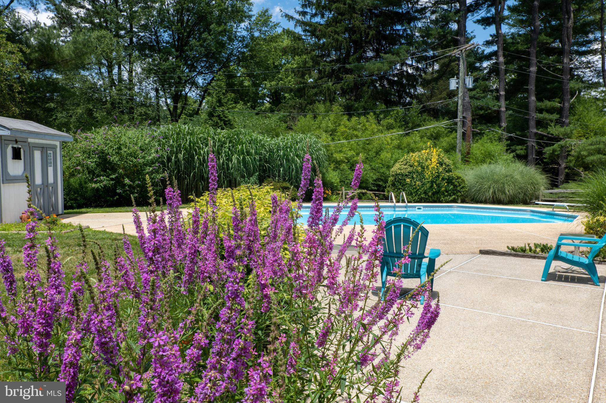 STEVENSON - Residential