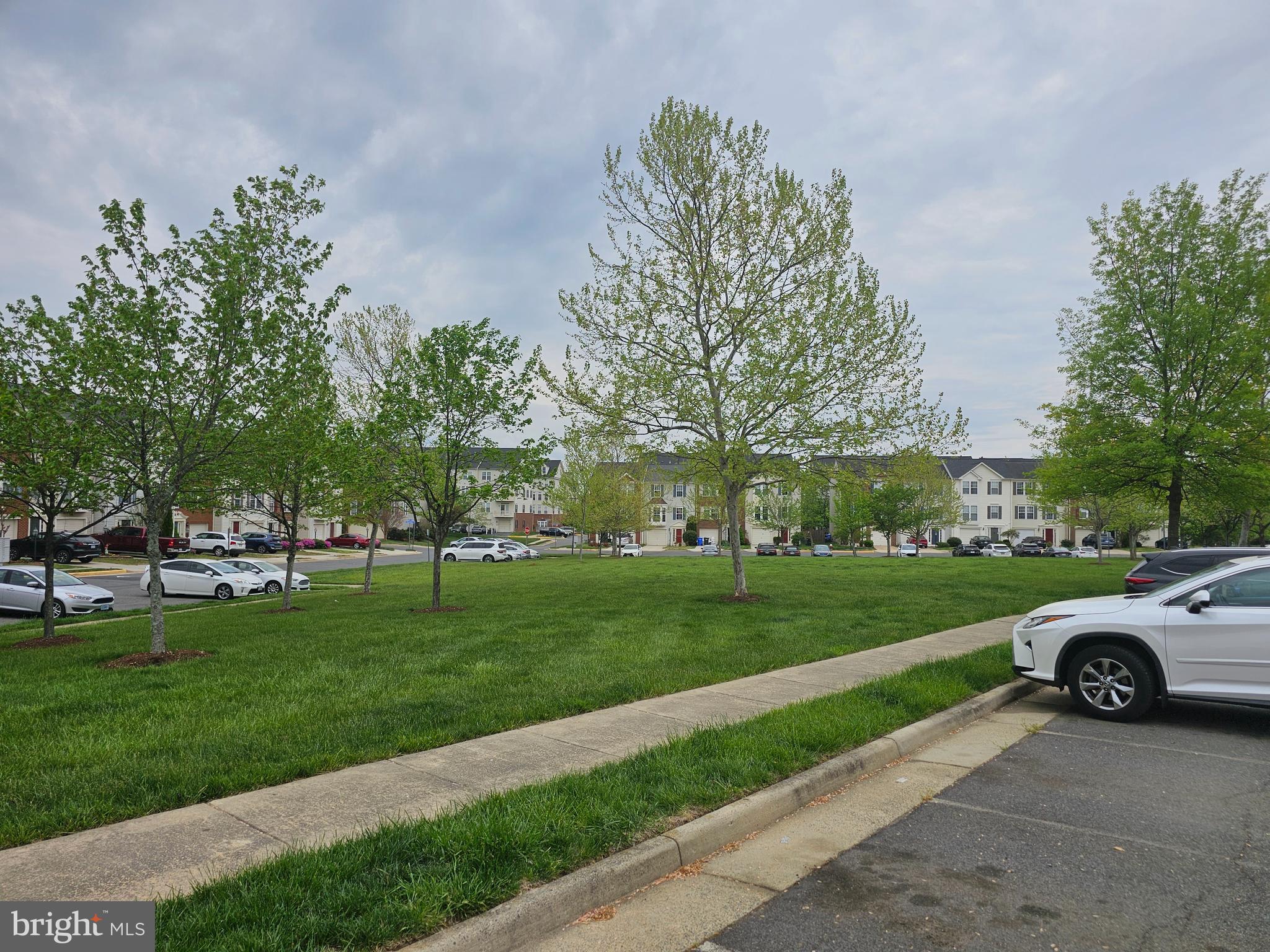 41749 ELOQUENCE TERRACE