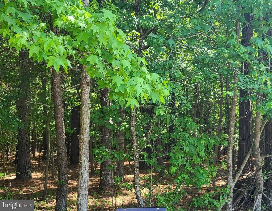 Approved Perc/Septic, see attached survey. Great lot to build your dream home. Bring your own builder or use ours. Many options and floor plans to choose from, call today to get the process started.  Please call the listing agent for details.