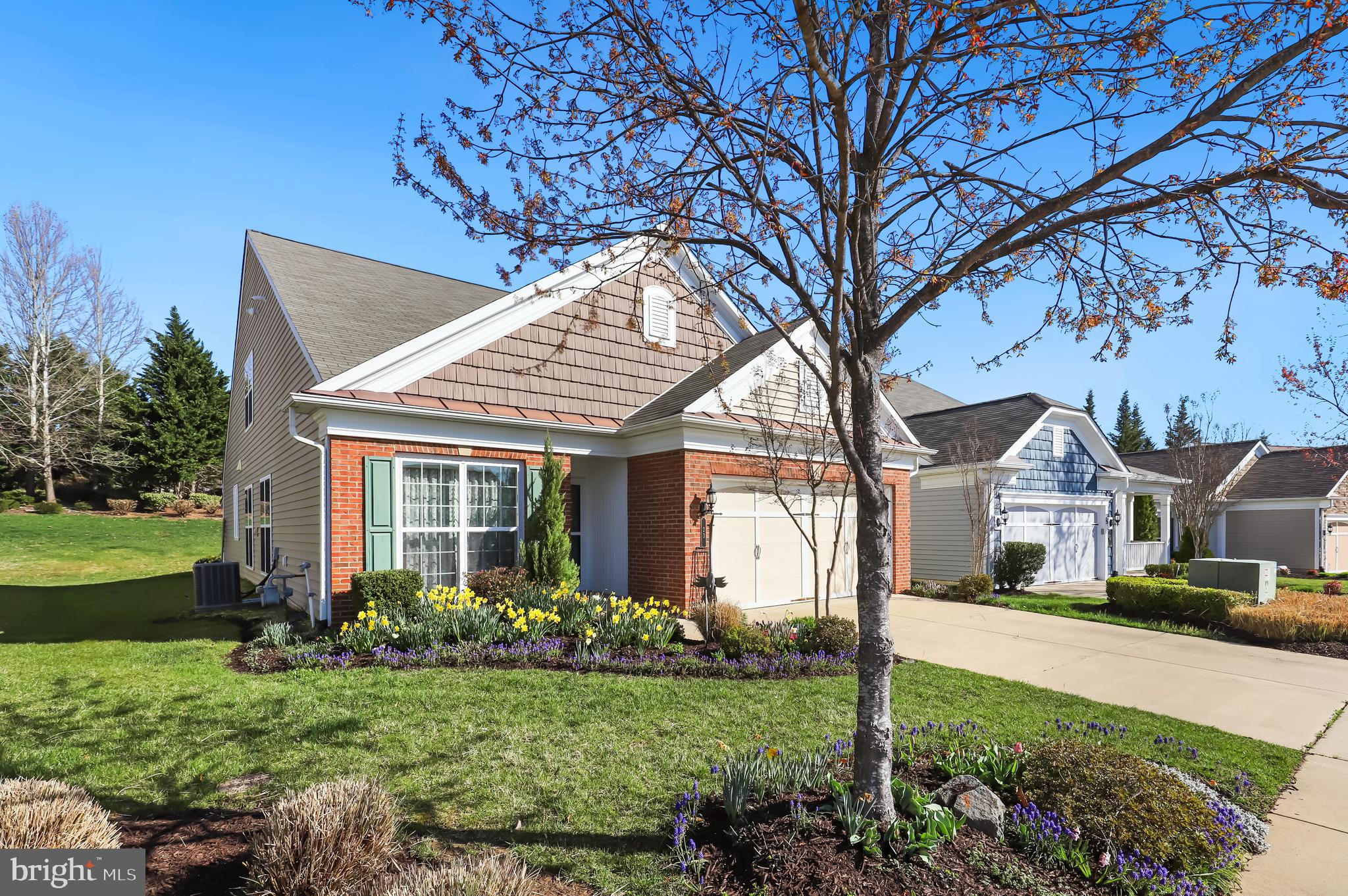 CELEBRATE VIRGINIA NORTH - Residential