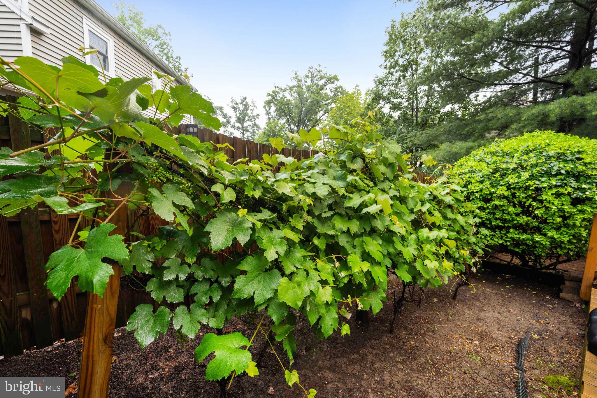 BEVERLEY HILLS - Residential