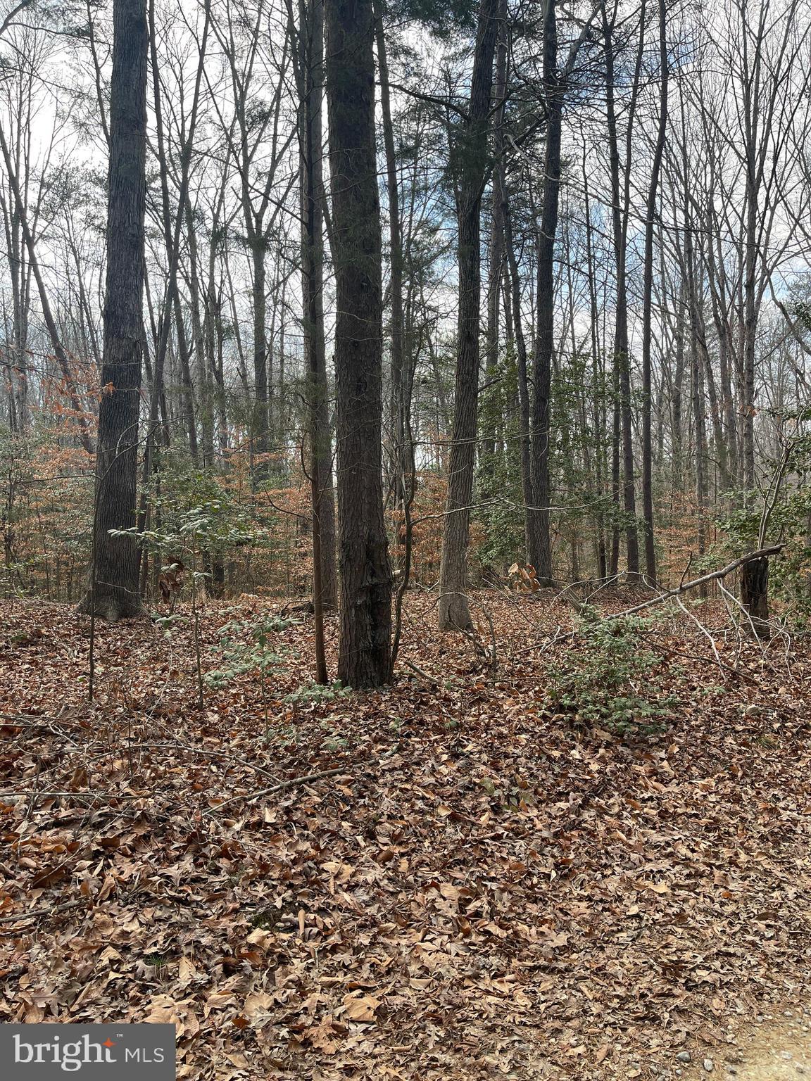 Photo 1 of 6 — 6317 LITTLE ACRES LANE, WOODFORD, VA 22580