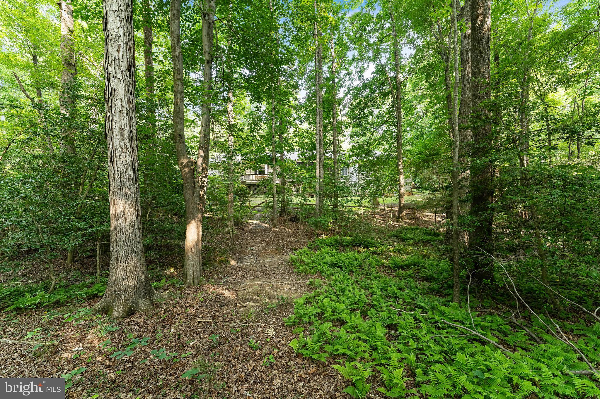 FOREST LAKE (WATERFORD) - Residential