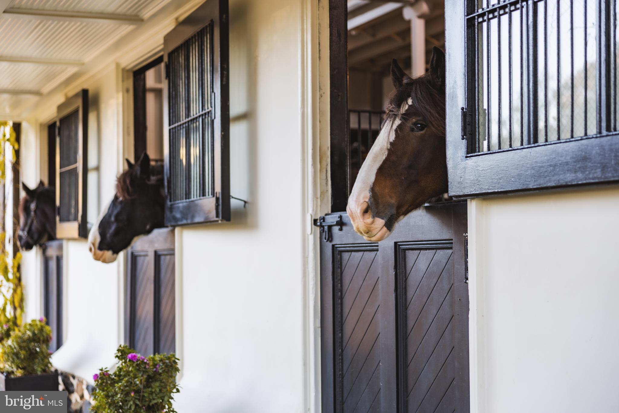 UPPERVILLE - Residential