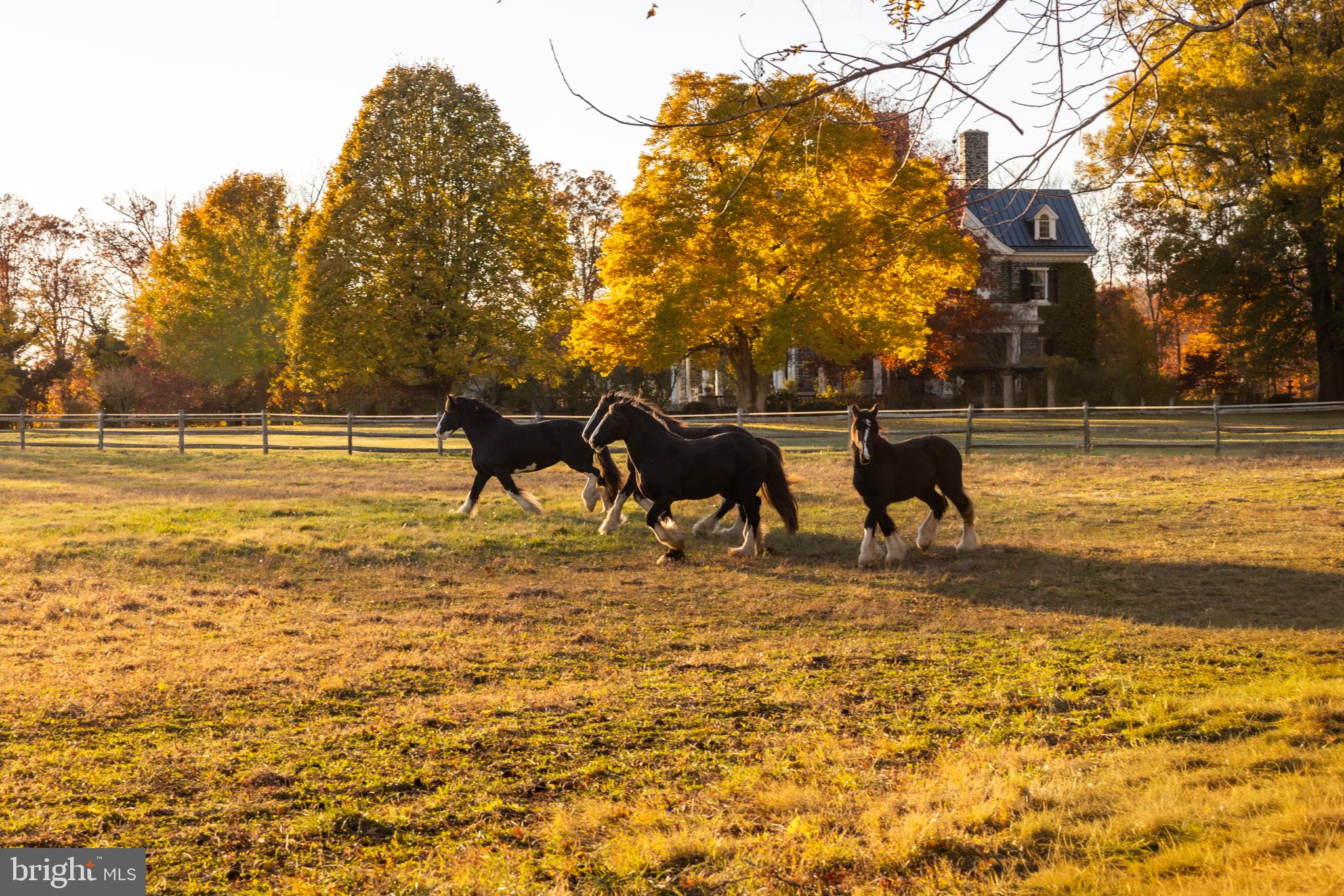UPPERVILLE - Residential