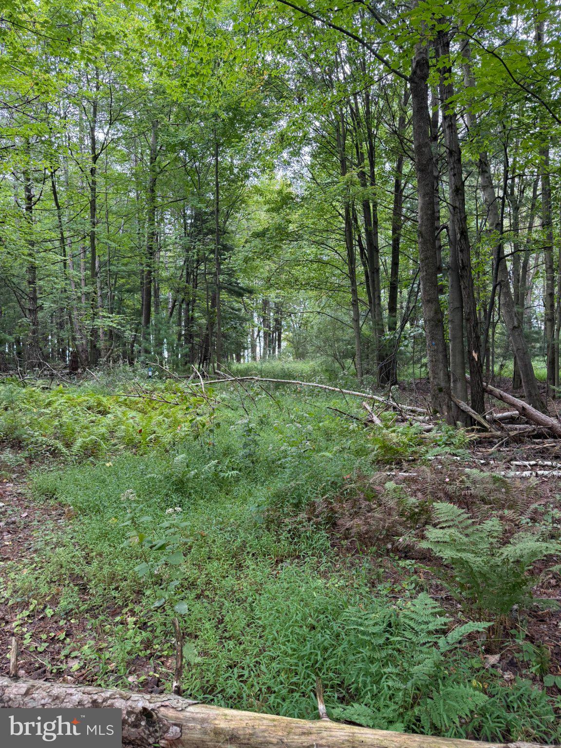 0 OLD ORCHARD LANE