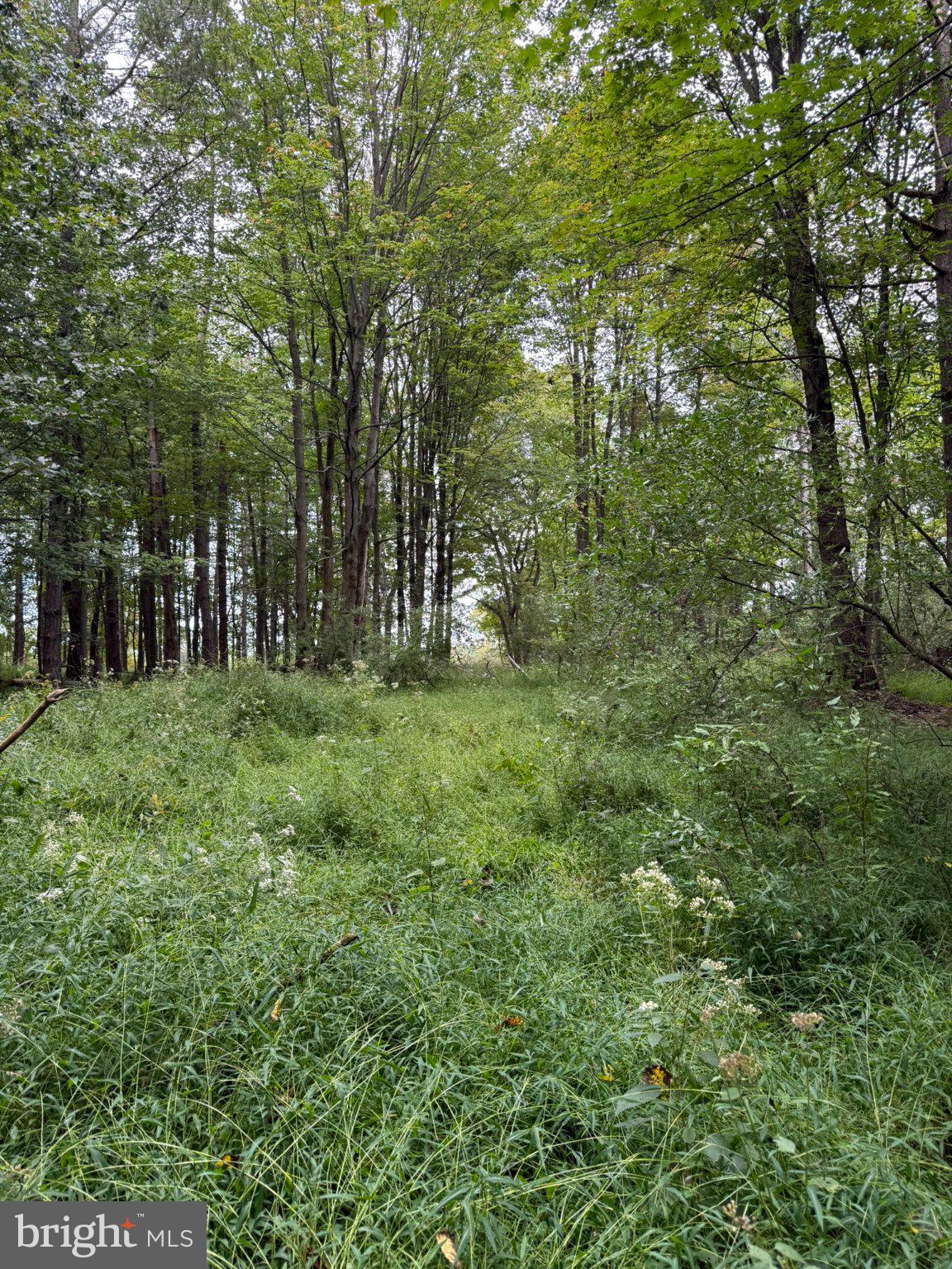 0 OLD ORCHARD LANE