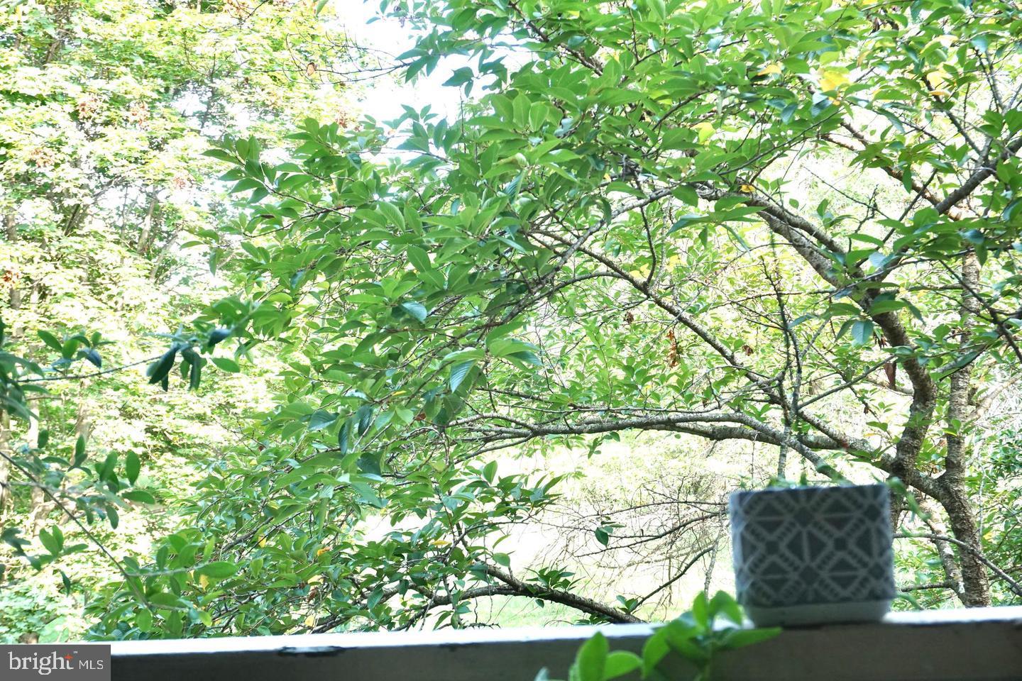 KINGSTOWNE - Residential Lease