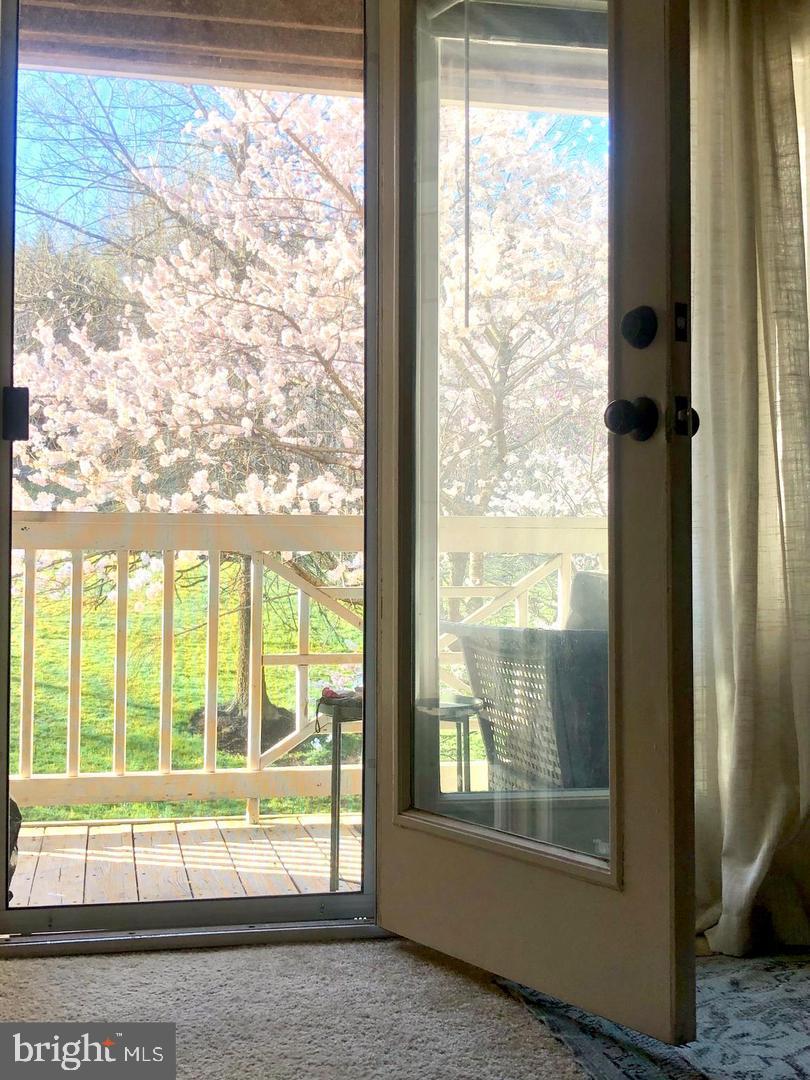 KINGSTOWNE - Residential Lease